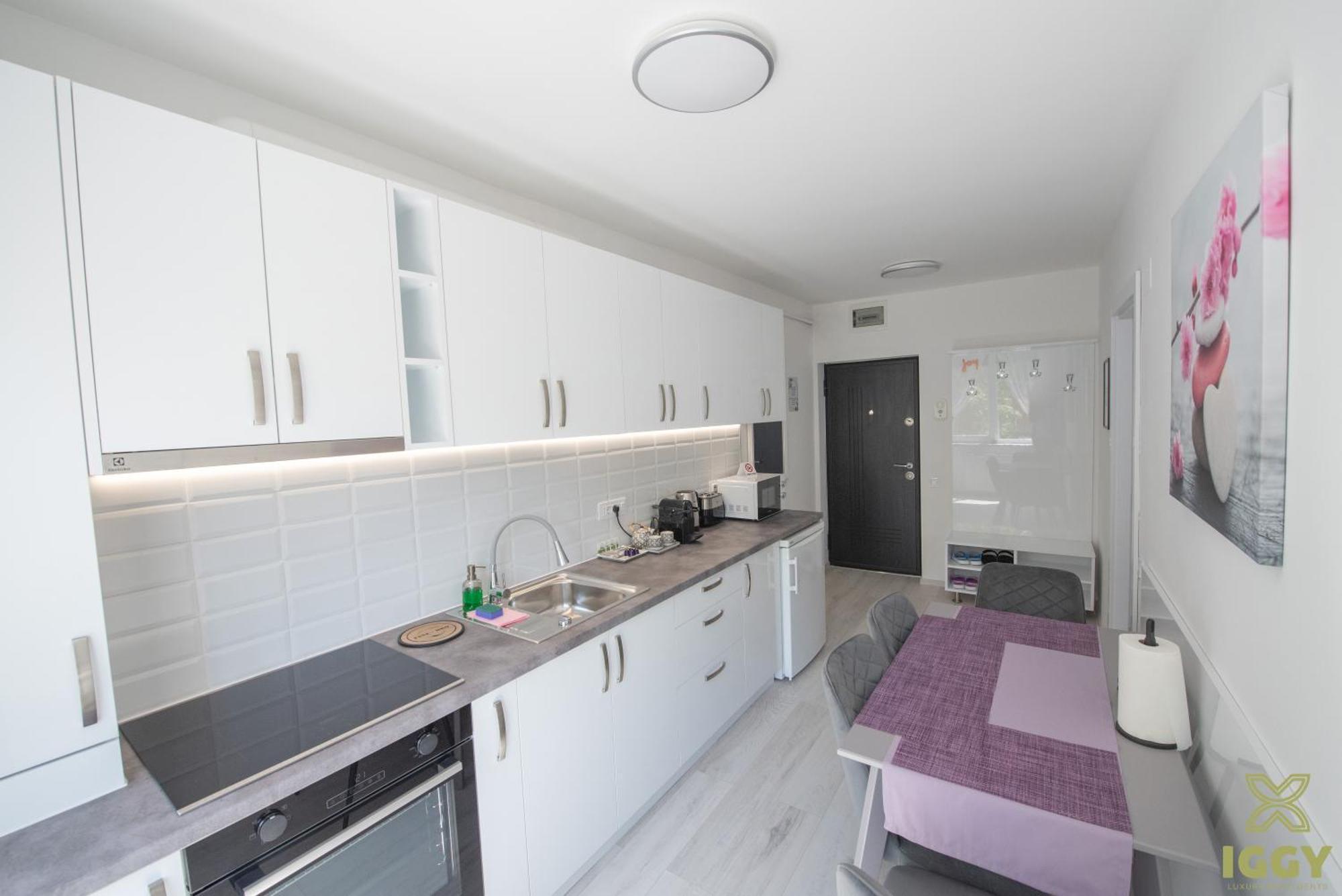 Iggy Premium Apartment Хунедоара Екстер'єр фото