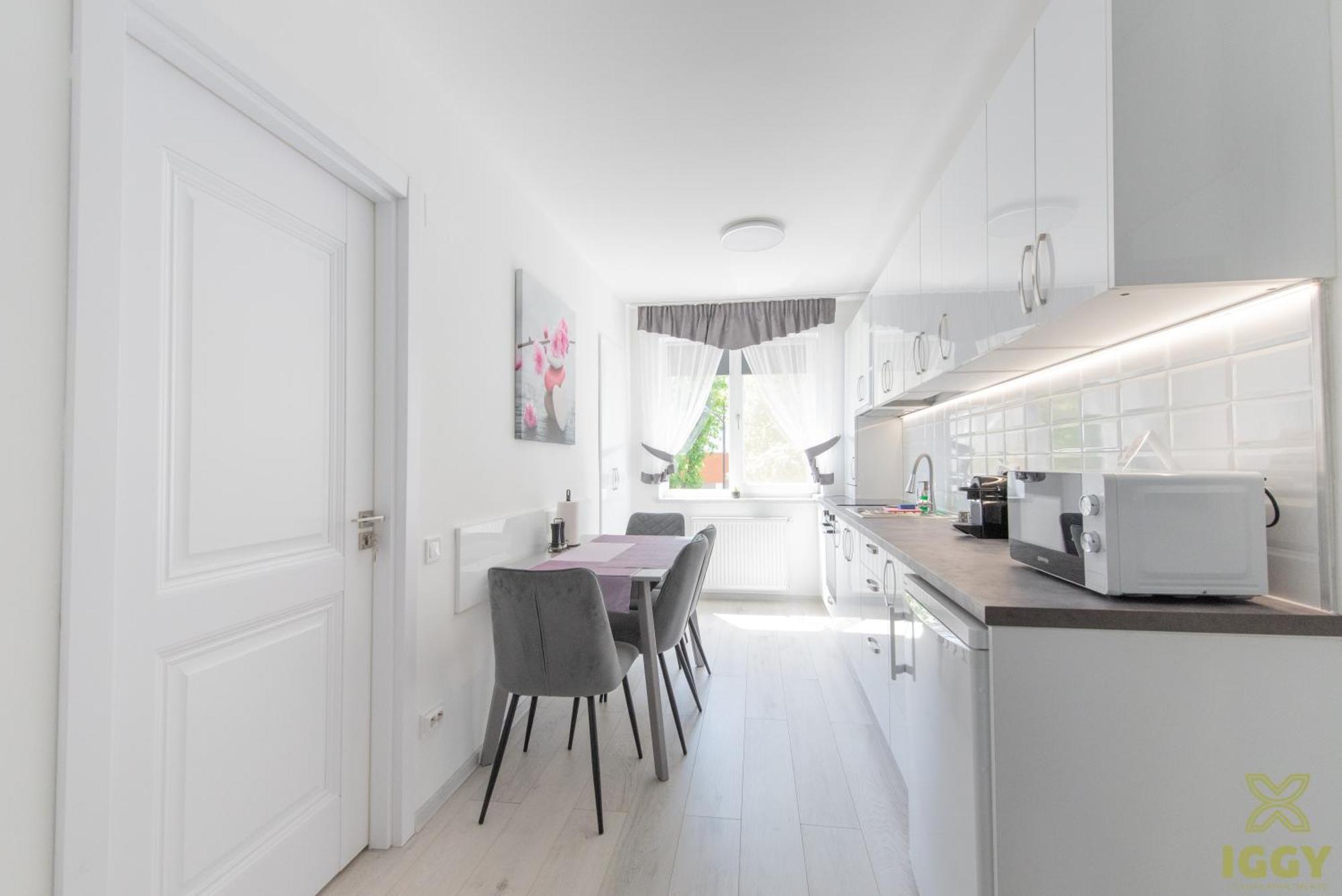 Iggy Premium Apartment Хунедоара Екстер'єр фото